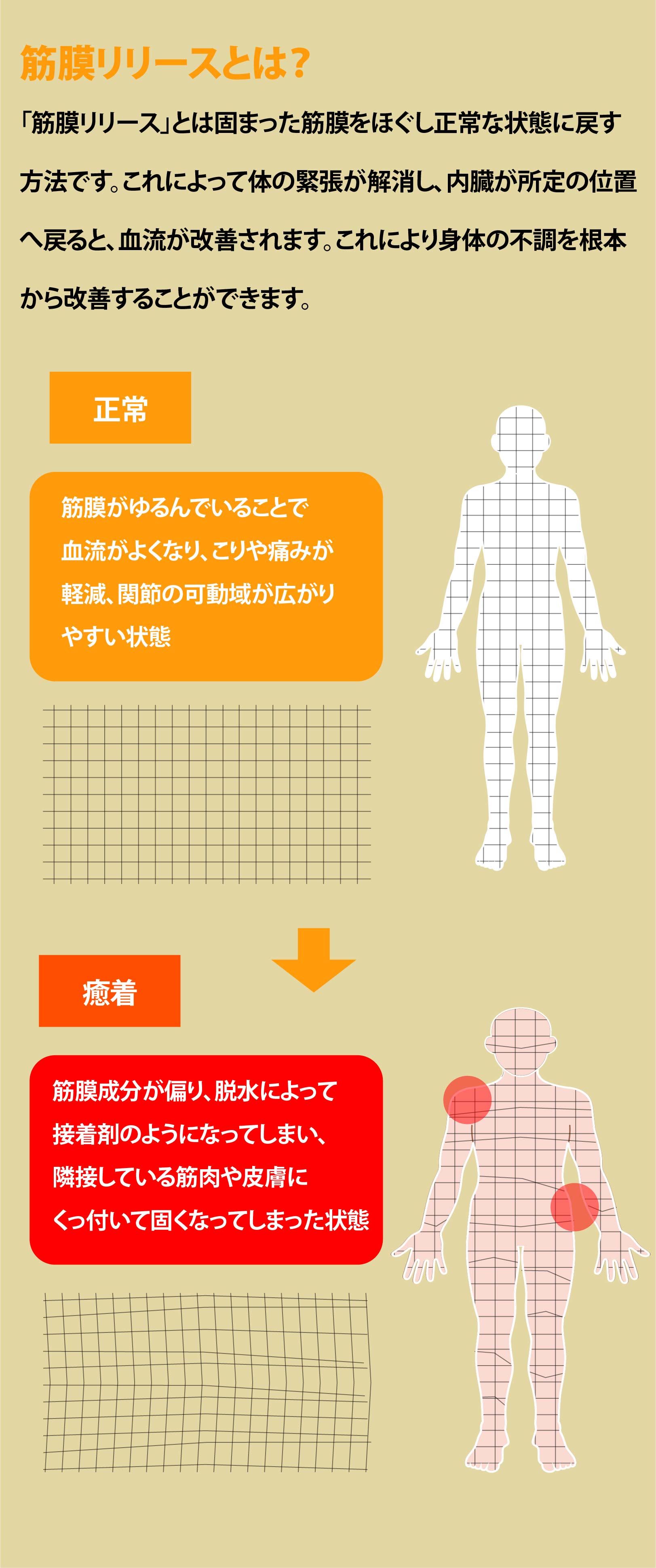 筋膜リリースとは固まった筋肉をほぐし正常な状態に戻す方法です。